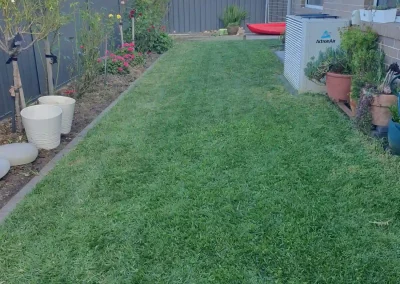 IMG 20250410 WA0002 1