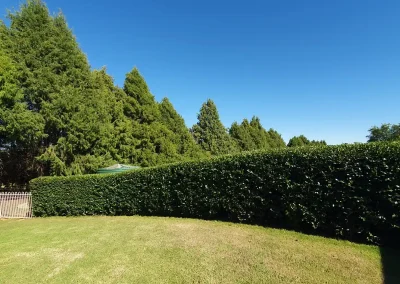 Lawn-Mowing-Googong
