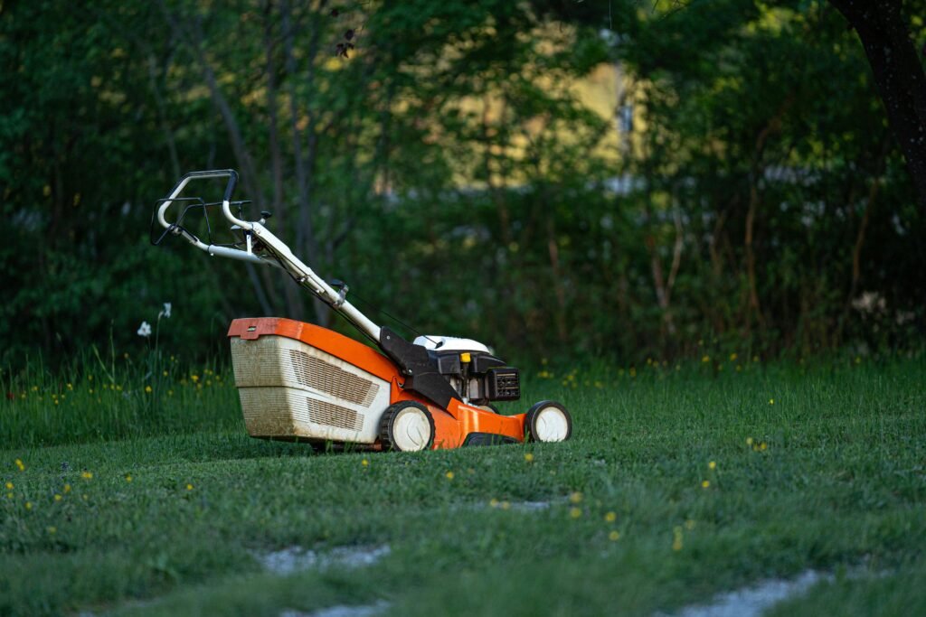 Lawn mowing Lucknow