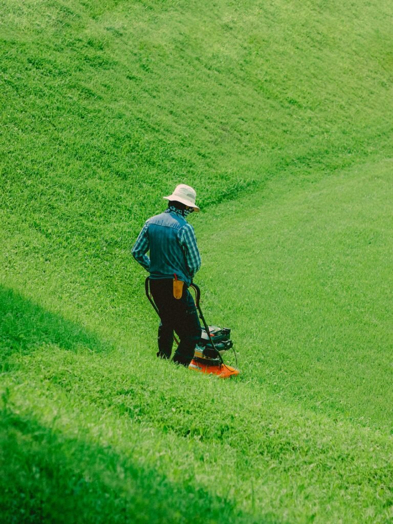 Yard and Lawn Maintenance