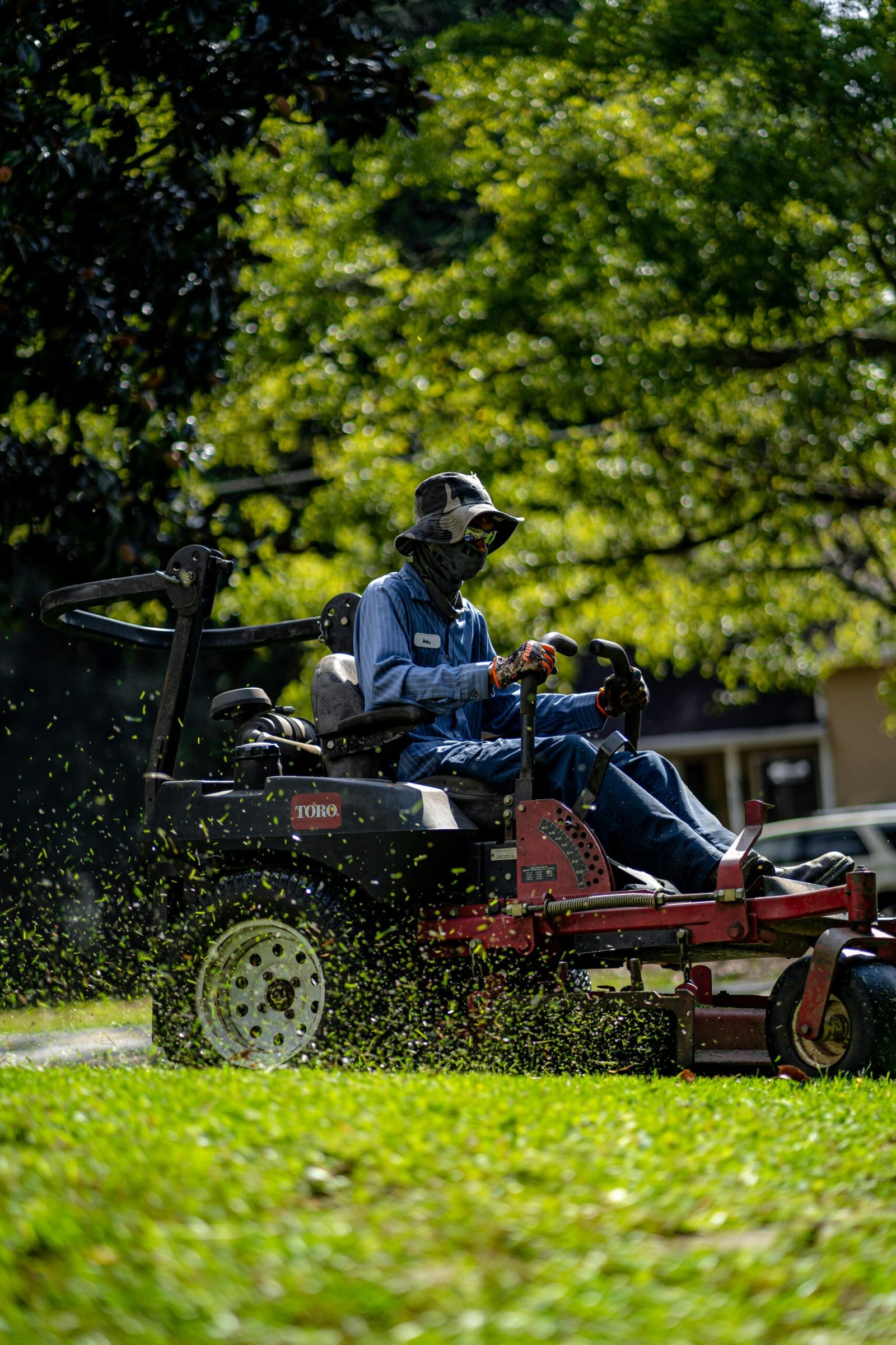 Lawn services Lucknow