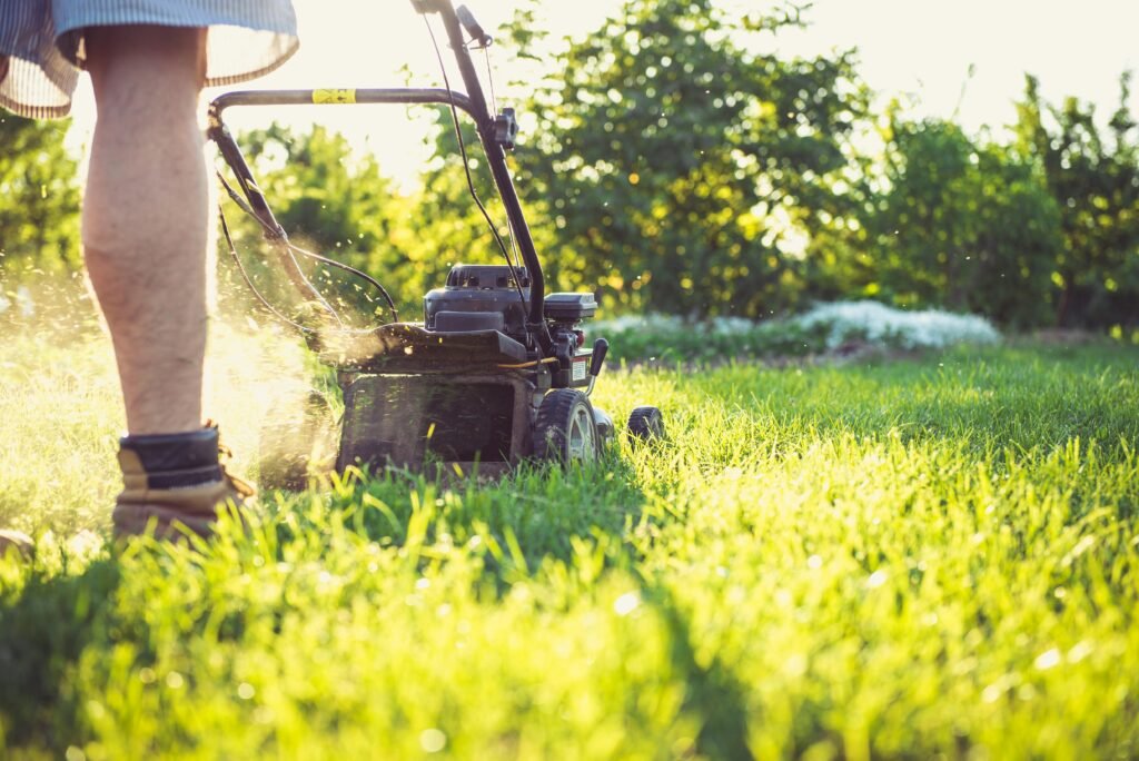 Lawn mowing Orange NSW