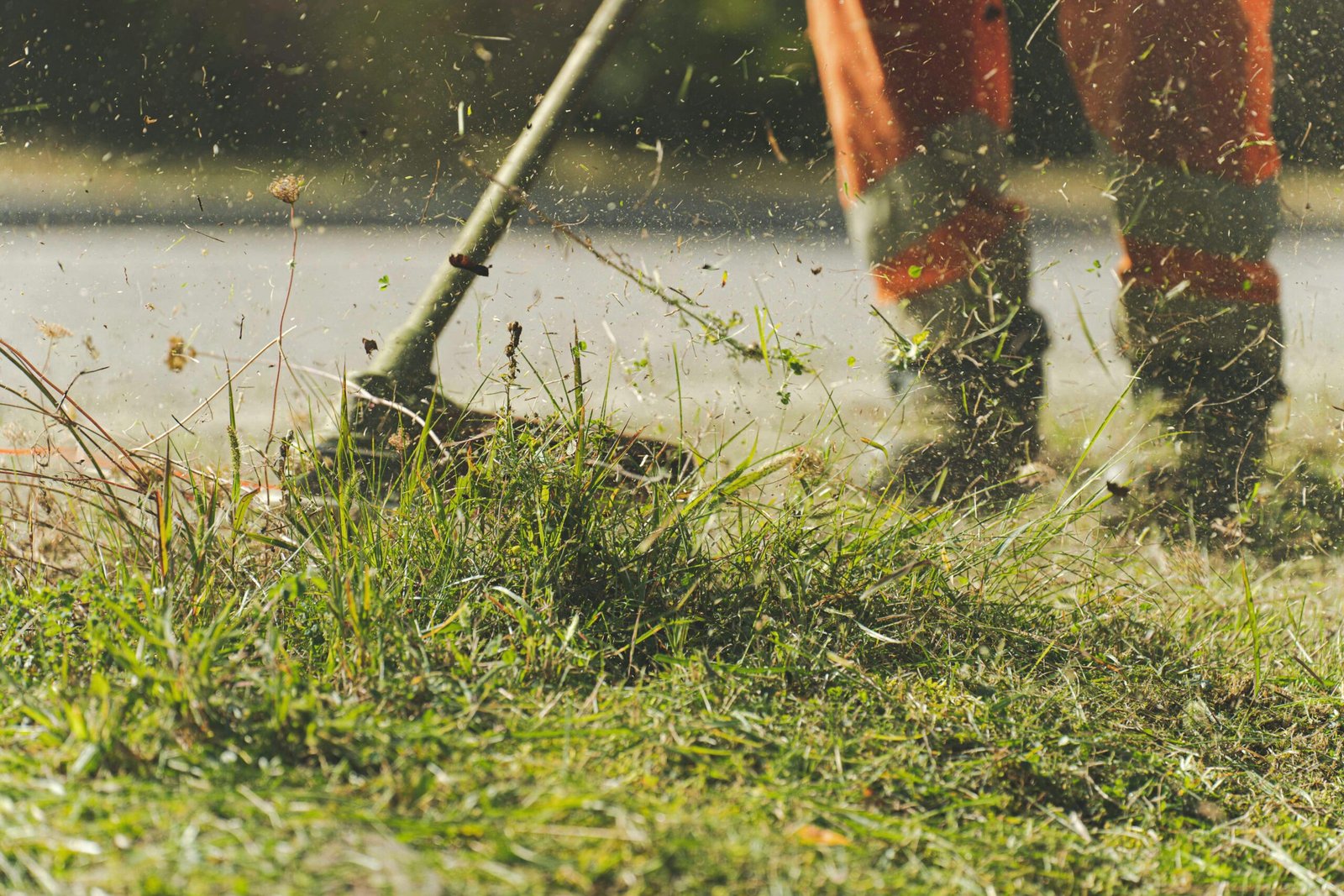 Preparing Your Lawn for Spring in Orange NSW