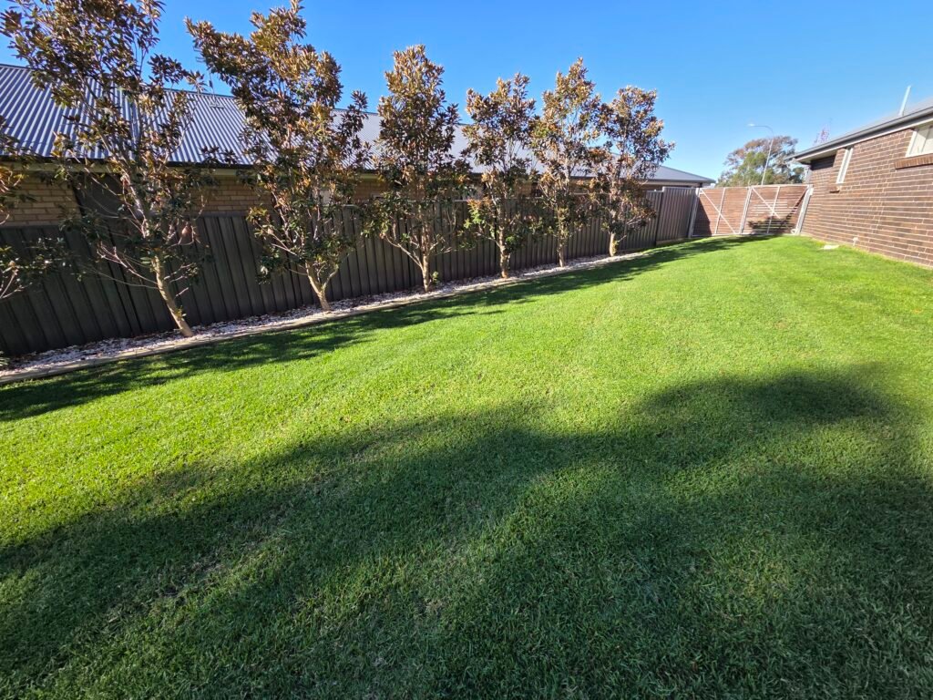 Lawn mowing Bloomfield NSW