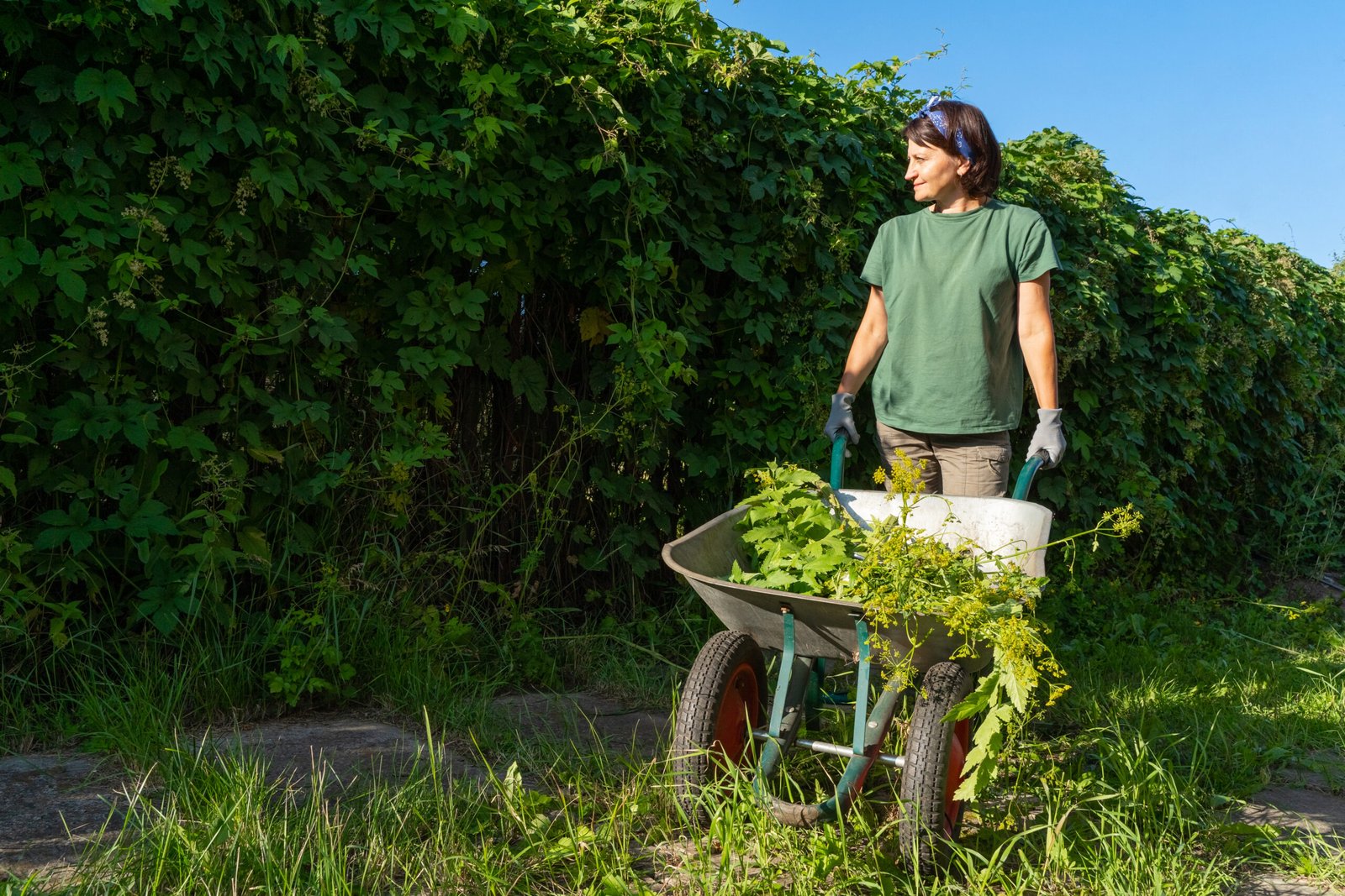 Green waste removal Orange NSW