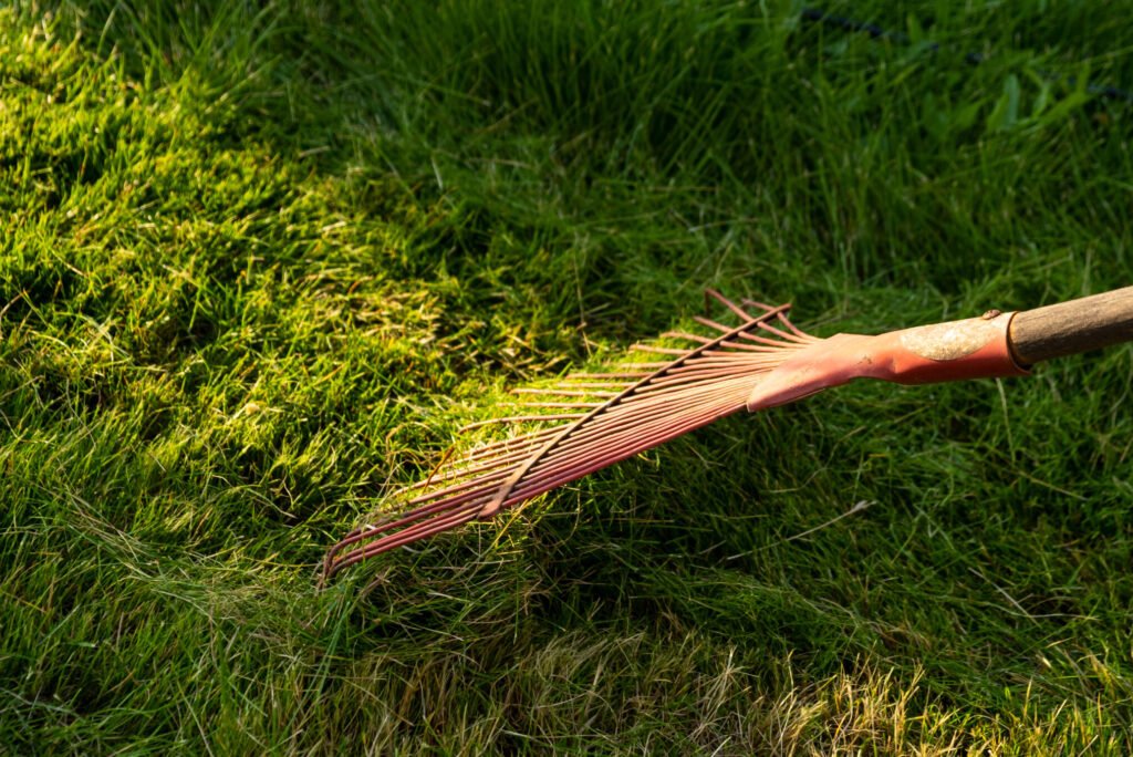 Weed removal service Orange NSW