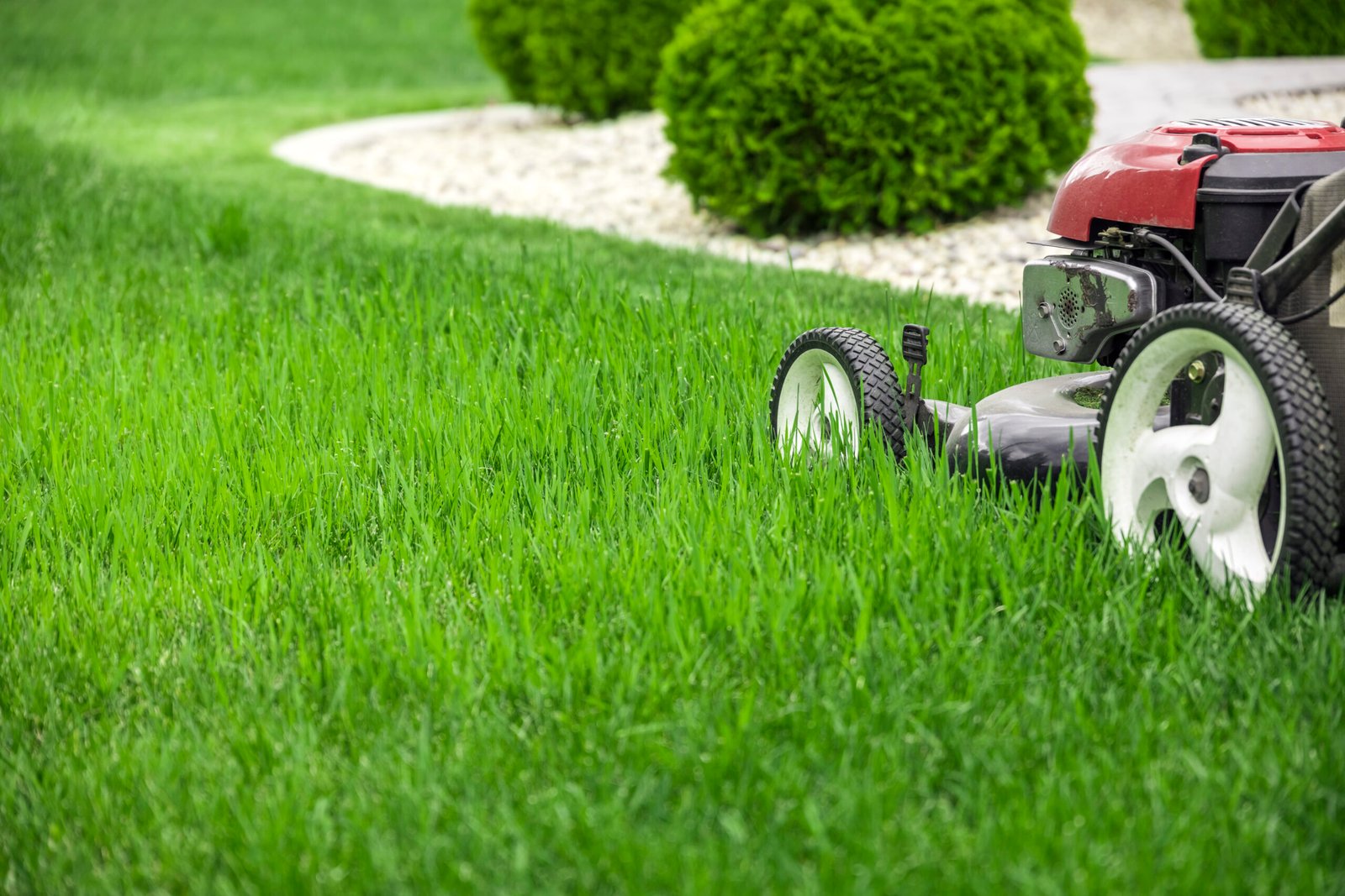 Yard and Lawn Maintenance