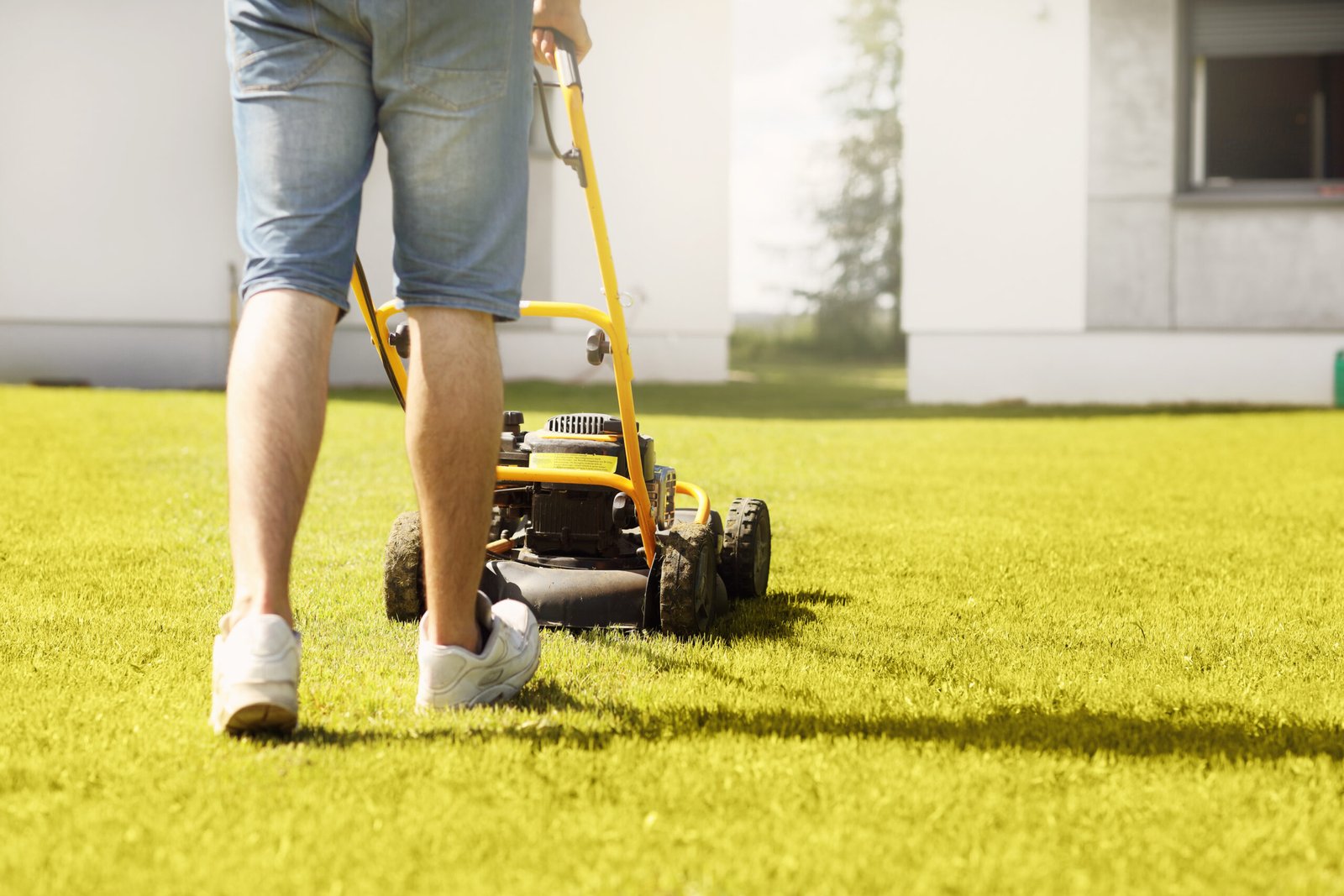 End of lease lawn care Orange NSW