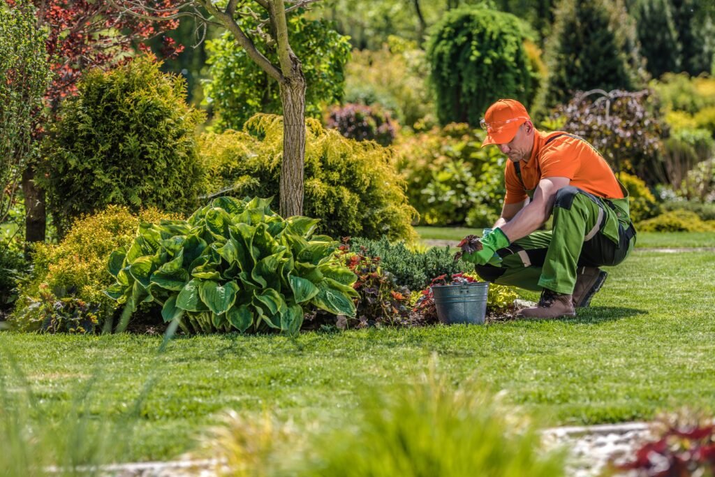 Garden maintenance Orange NSW