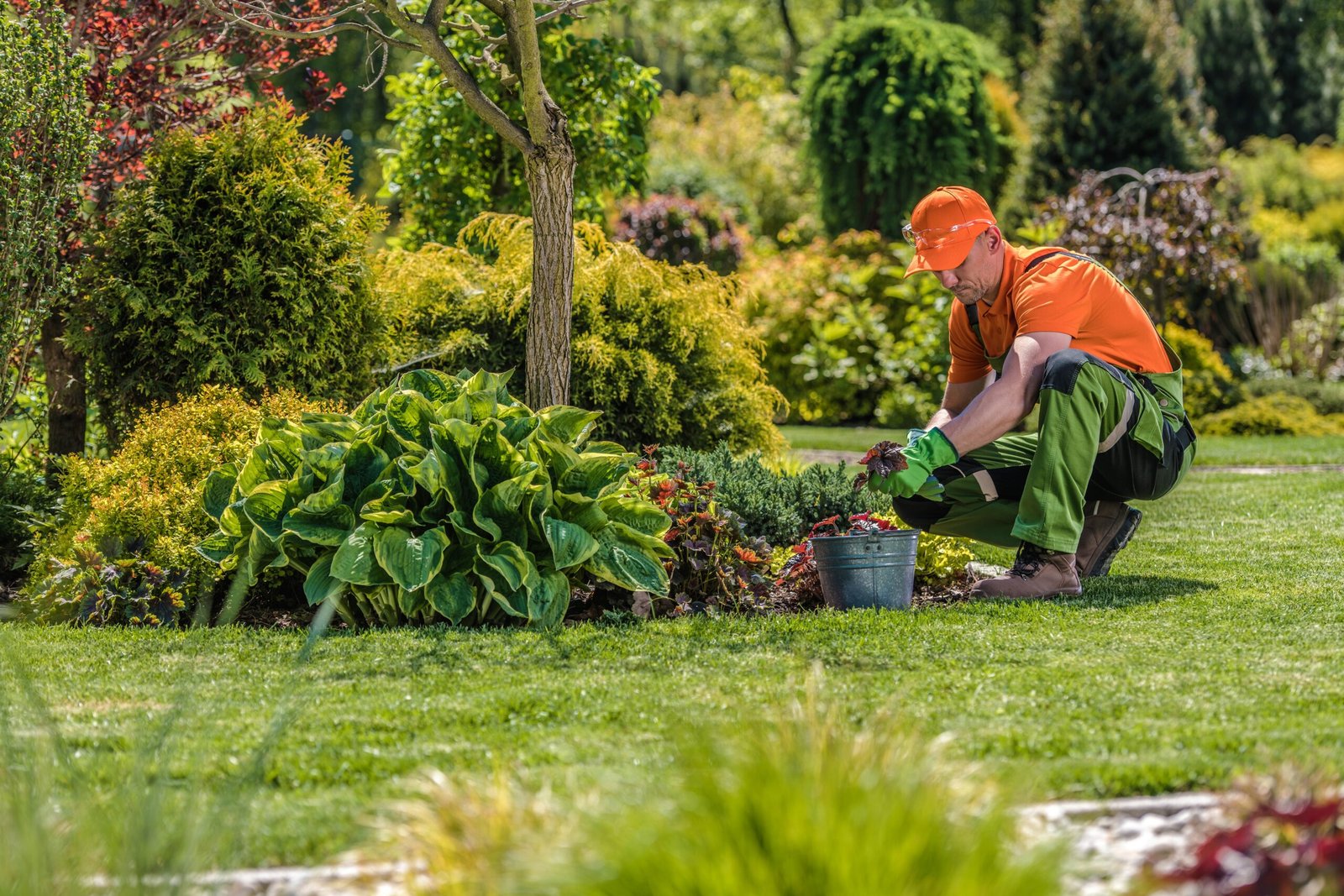 Garden maintenance Orange NSW