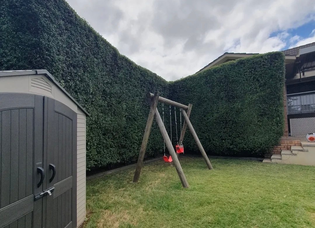 Affordable Lawn Mowing