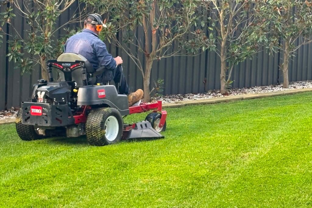 Garden Cleanup