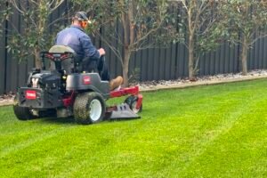 Lawn Mowing Service Price 3 Garden Cleanup