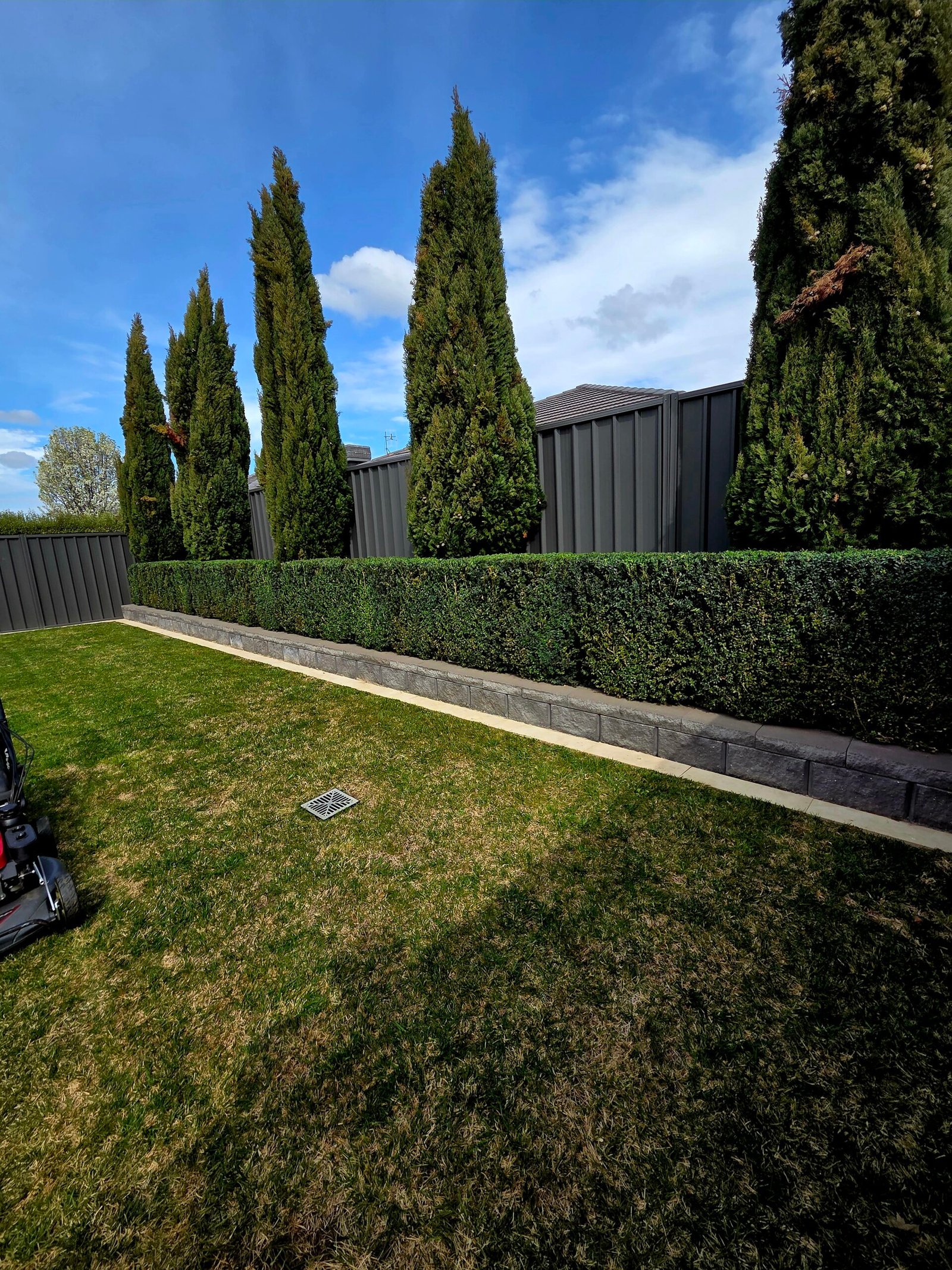 Garden clean up