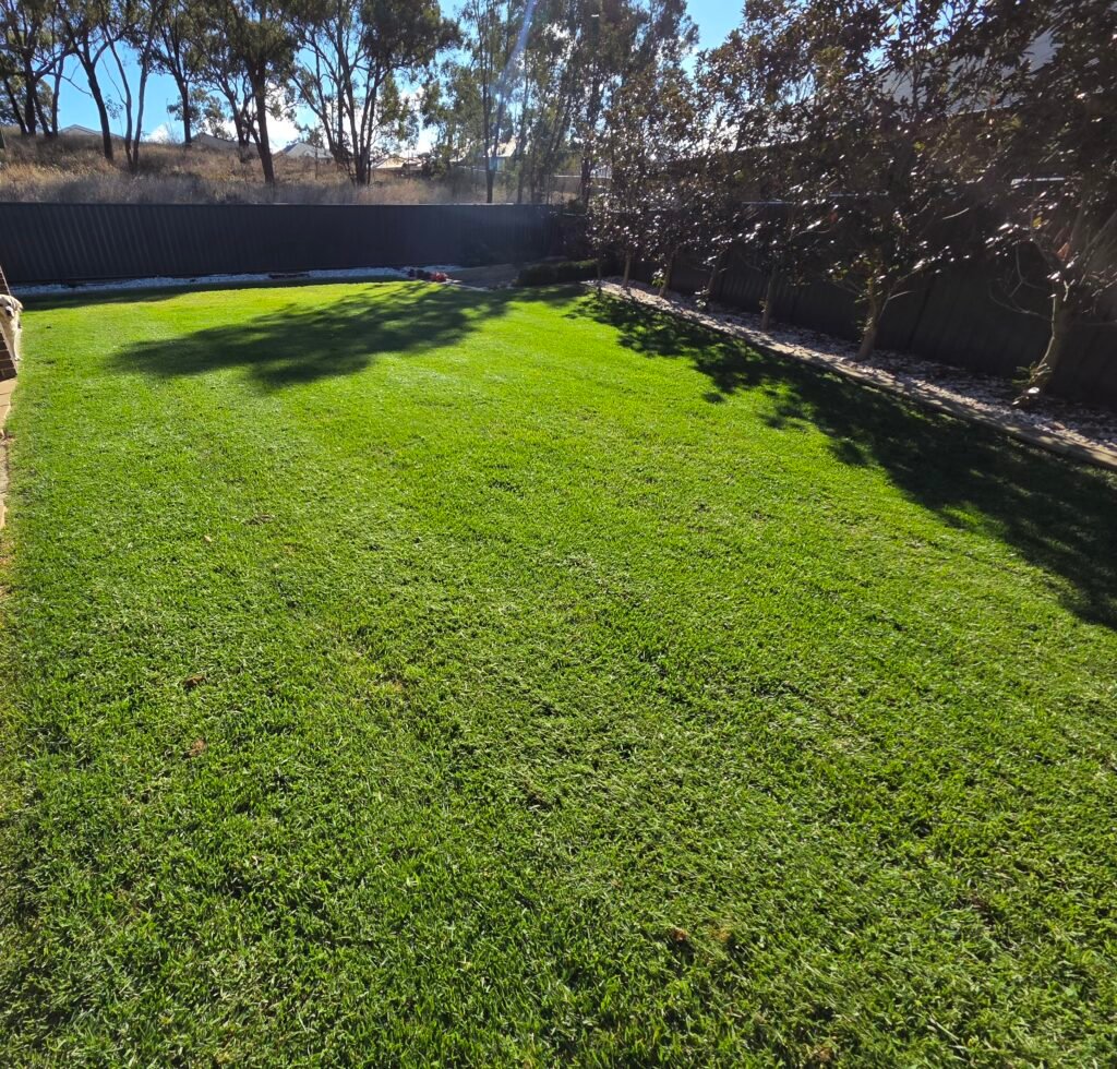Hedge Trimming