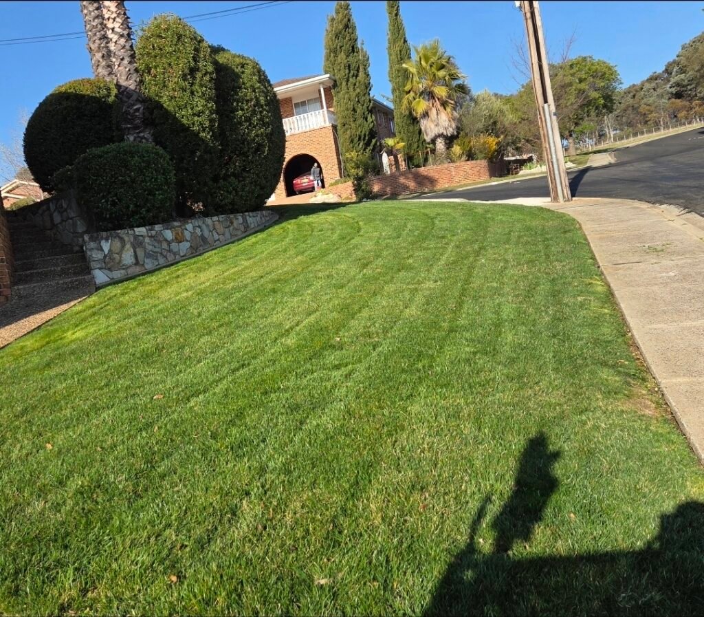 Yard Waste Removal
