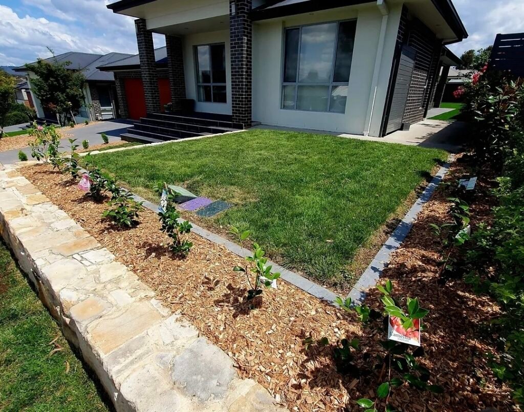 Yard Waste Removal