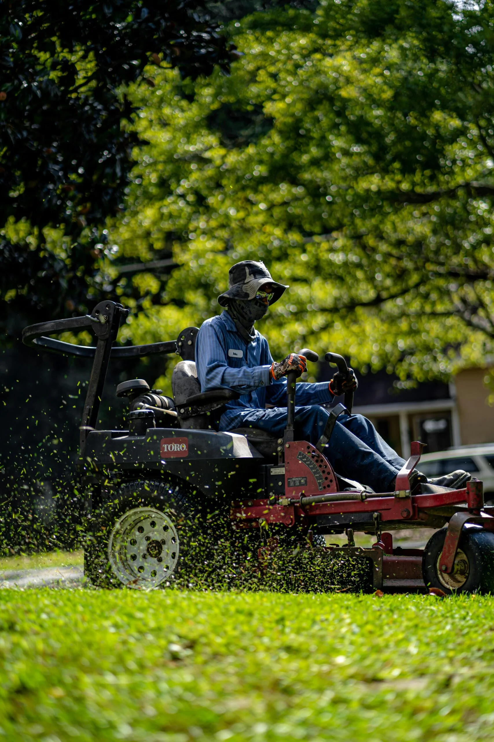 Lawn services Lucknow